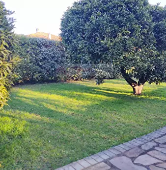 Foto annuncio 7