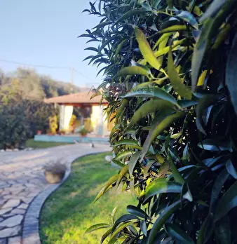 Foto annuncio 8