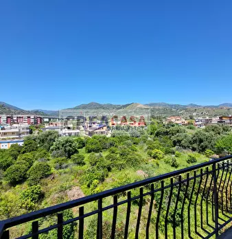 Foto annuncio 40