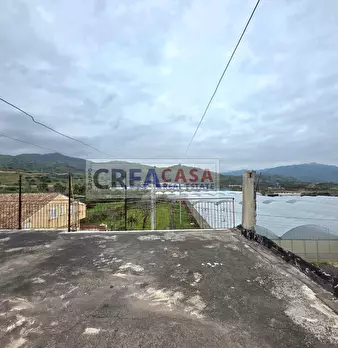 Foto annuncio 30