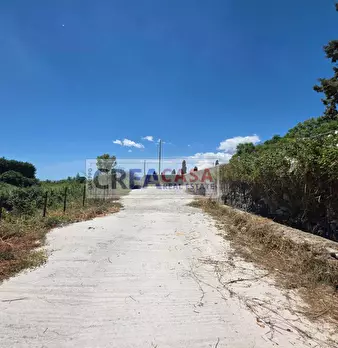 Foto annuncio 7