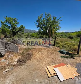 Foto annuncio 28