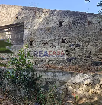 Foto annuncio 24