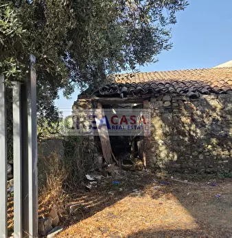 Foto annuncio 26