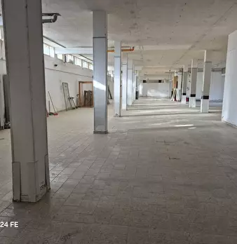 Foto annuncio 10