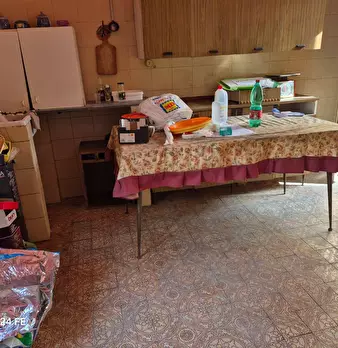 Foto annuncio 12