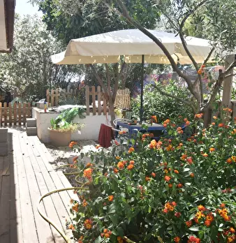 Foto annuncio 5