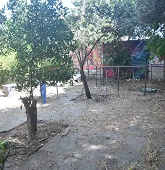 Foto annuncio 15