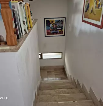 Foto annuncio 55