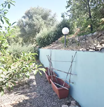 Foto annuncio 40