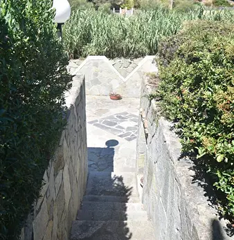 Foto annuncio 45