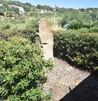Foto annuncio 46
