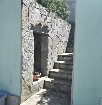 Foto annuncio 47