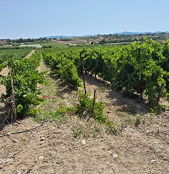 Foto annuncio 4