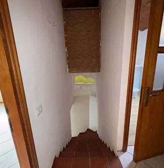 Foto annuncio 12