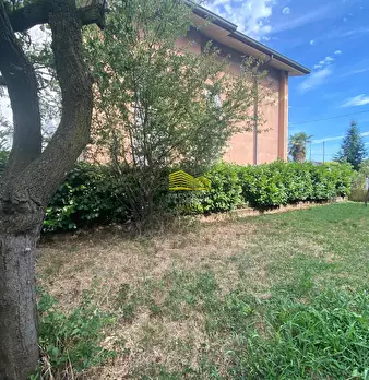 Foto annuncio 22