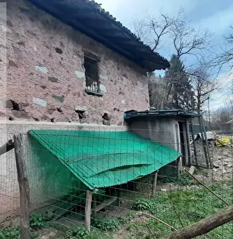 Foto annuncio 3