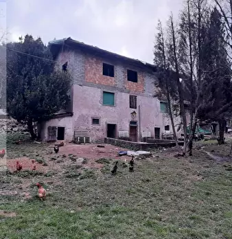 Foto annuncio 5