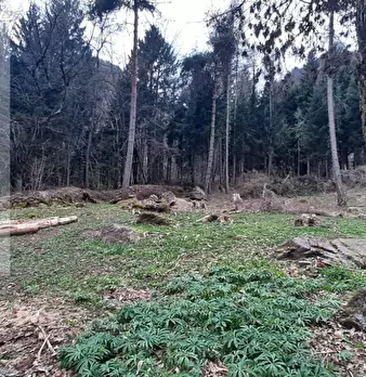 Foto annuncio 7