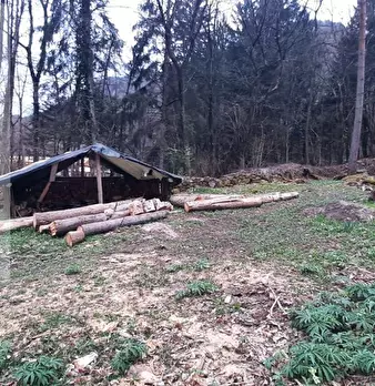 Foto annuncio 8