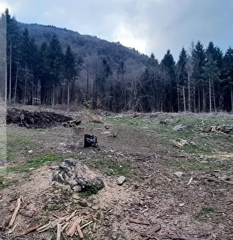 Foto annuncio 15