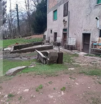 Foto annuncio 16
