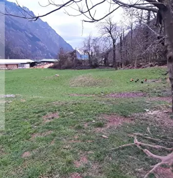 Foto annuncio 18