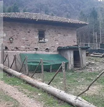 Foto annuncio 21
