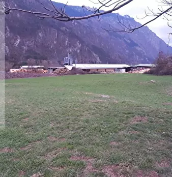 Foto annuncio 22