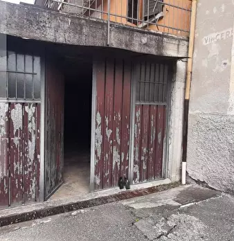 Foto annuncio 10