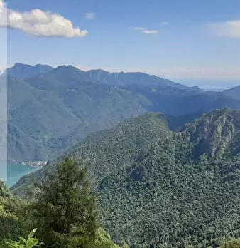 Foto annuncio 10