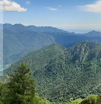 Foto annuncio 11