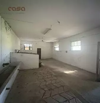 Foto annuncio 14