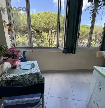 Foto annuncio 6