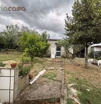 Foto annuncio 11
