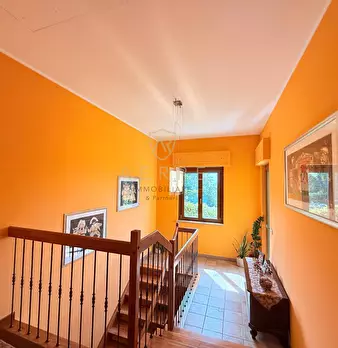 Foto annuncio 30
