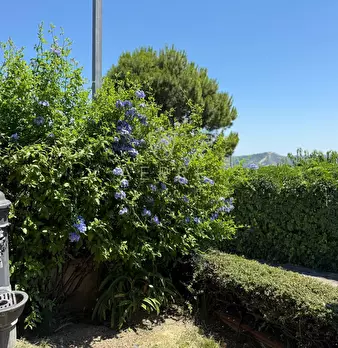 Foto annuncio 52