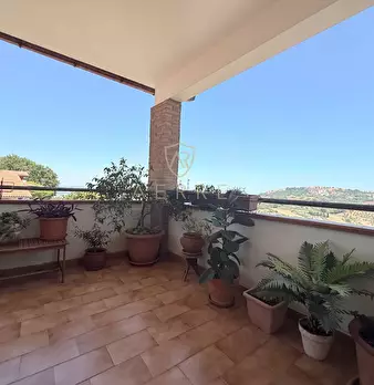 Foto annuncio 15