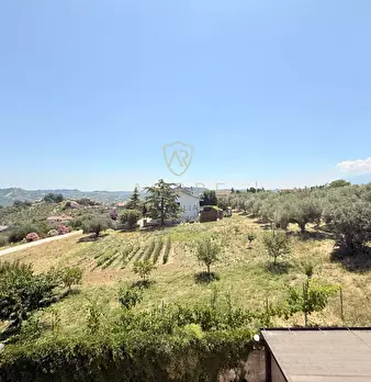 Foto annuncio 47