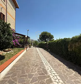 Foto annuncio 56