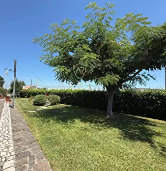 Foto annuncio 58