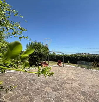 Foto annuncio 66
