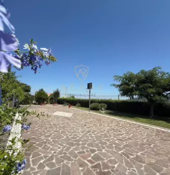 Foto annuncio 67