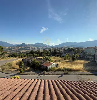 Foto annuncio 57