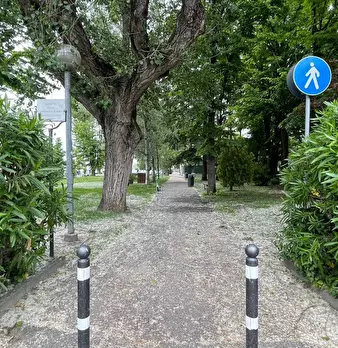 Foto annuncio 5