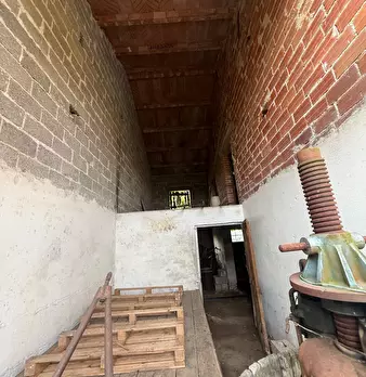 Foto annuncio 10