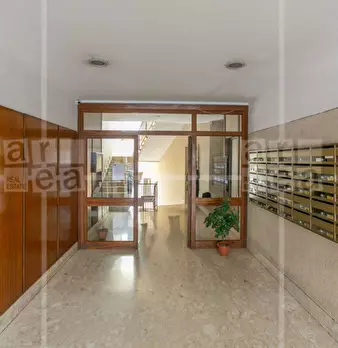 Foto annuncio 16