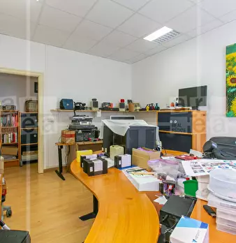 Foto annuncio 9