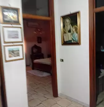 Foto annuncio 12