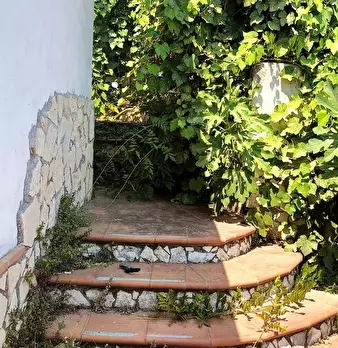 Foto annuncio 18